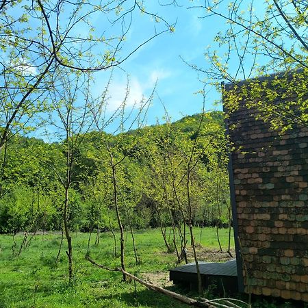 Отель Retreat In Padure Buchin Экстерьер фото