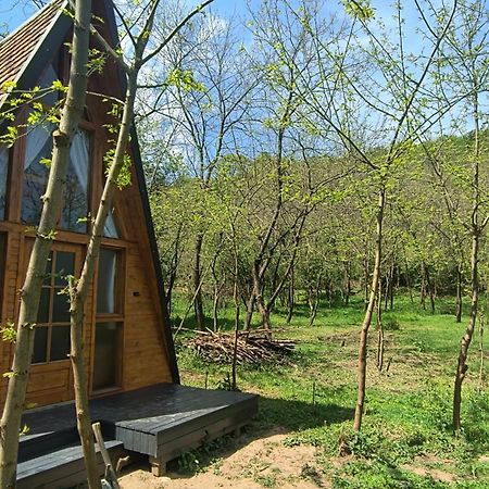 Отель Retreat In Padure Buchin Экстерьер фото