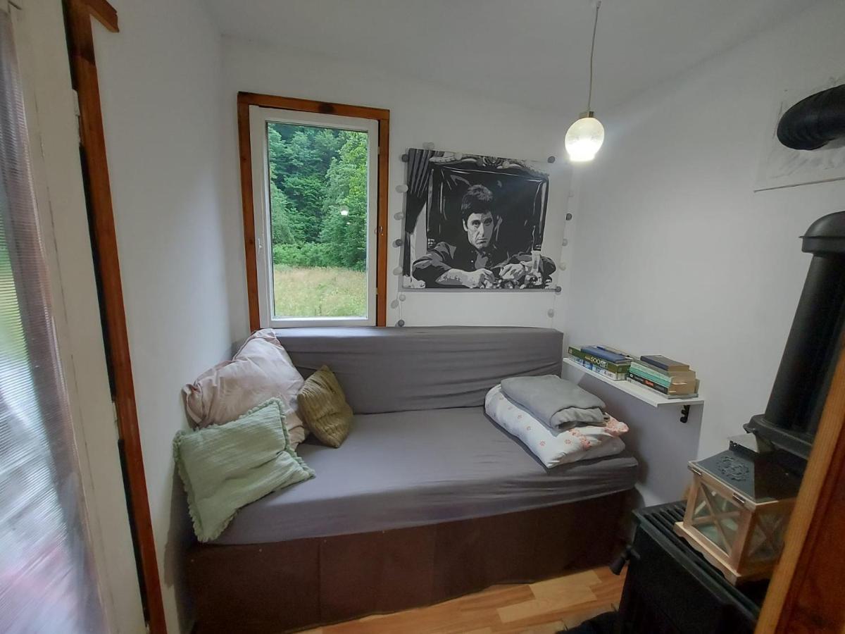 Отель Retreat In Padure Buchin Экстерьер фото