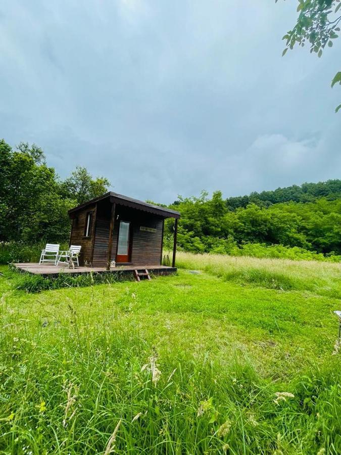 Отель Retreat In Padure Buchin Экстерьер фото
