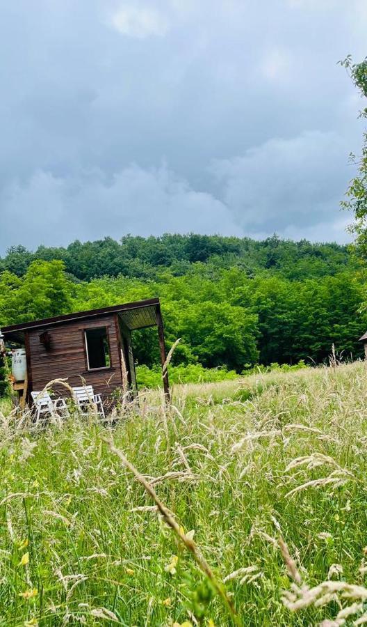 Отель Retreat In Padure Buchin Экстерьер фото