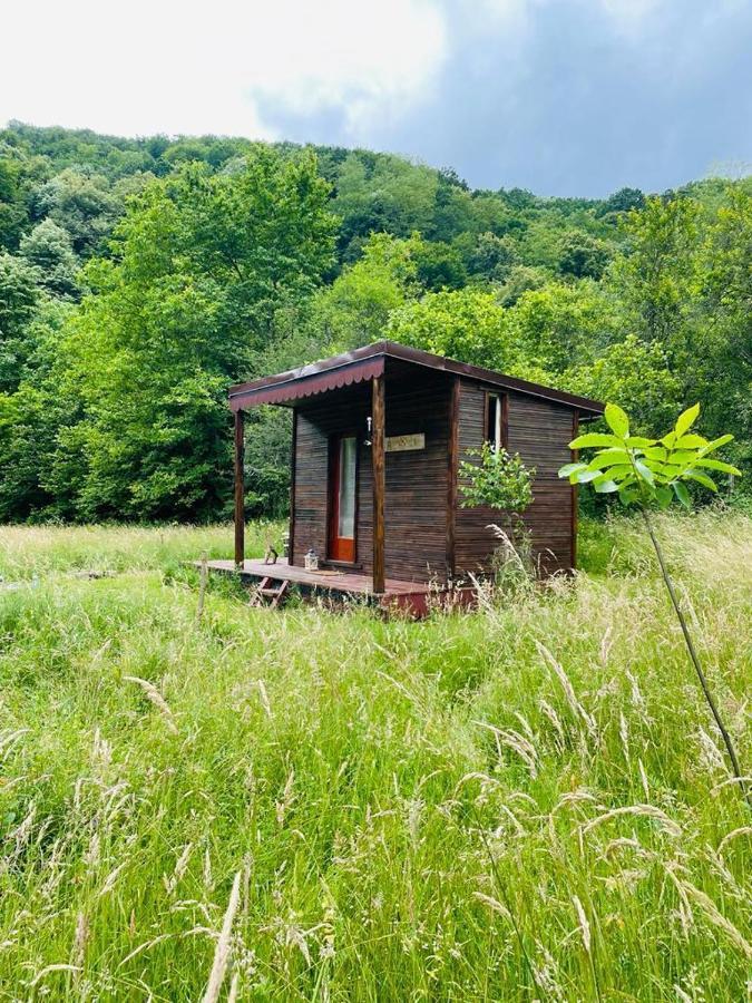 Отель Retreat In Padure Buchin Экстерьер фото