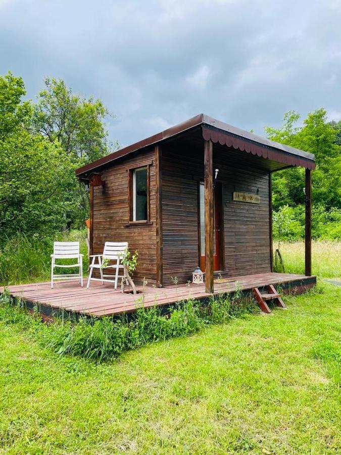 Отель Retreat In Padure Buchin Экстерьер фото