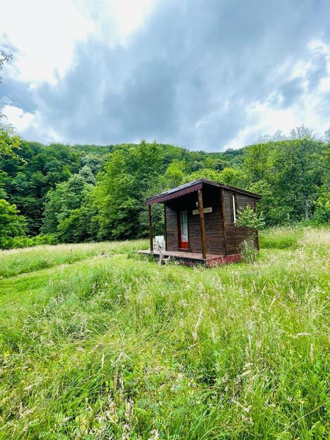 Отель Retreat In Padure Buchin Экстерьер фото