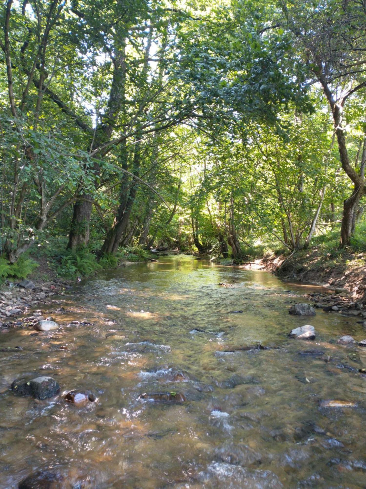 Отель Retreat In Padure Buchin Экстерьер фото