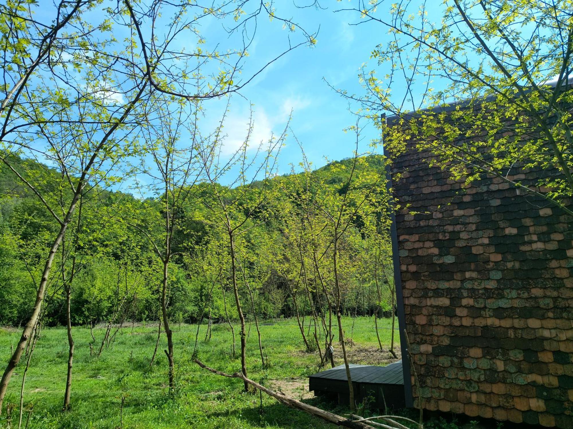 Отель Retreat In Padure Buchin Экстерьер фото