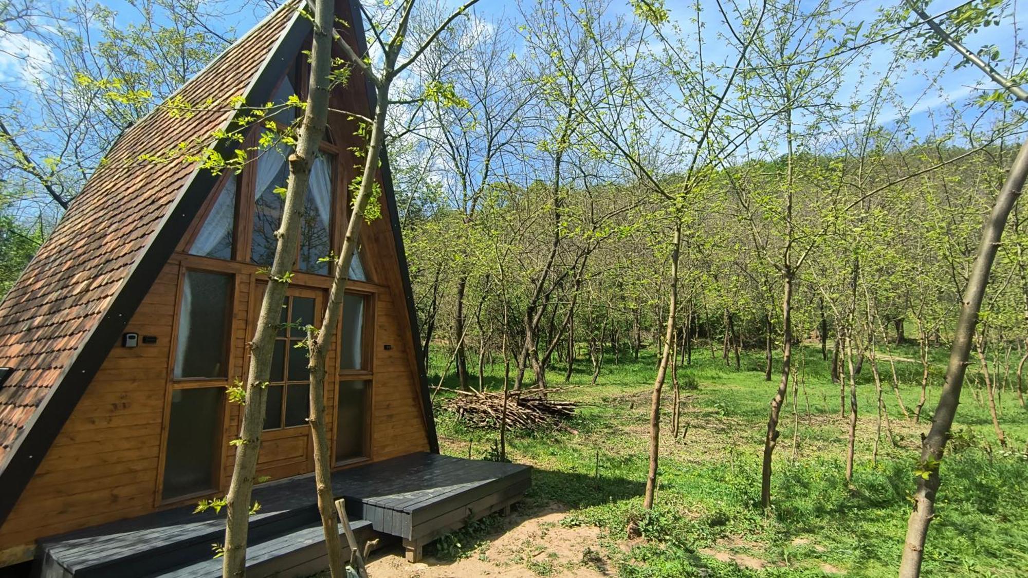 Отель Retreat In Padure Buchin Экстерьер фото