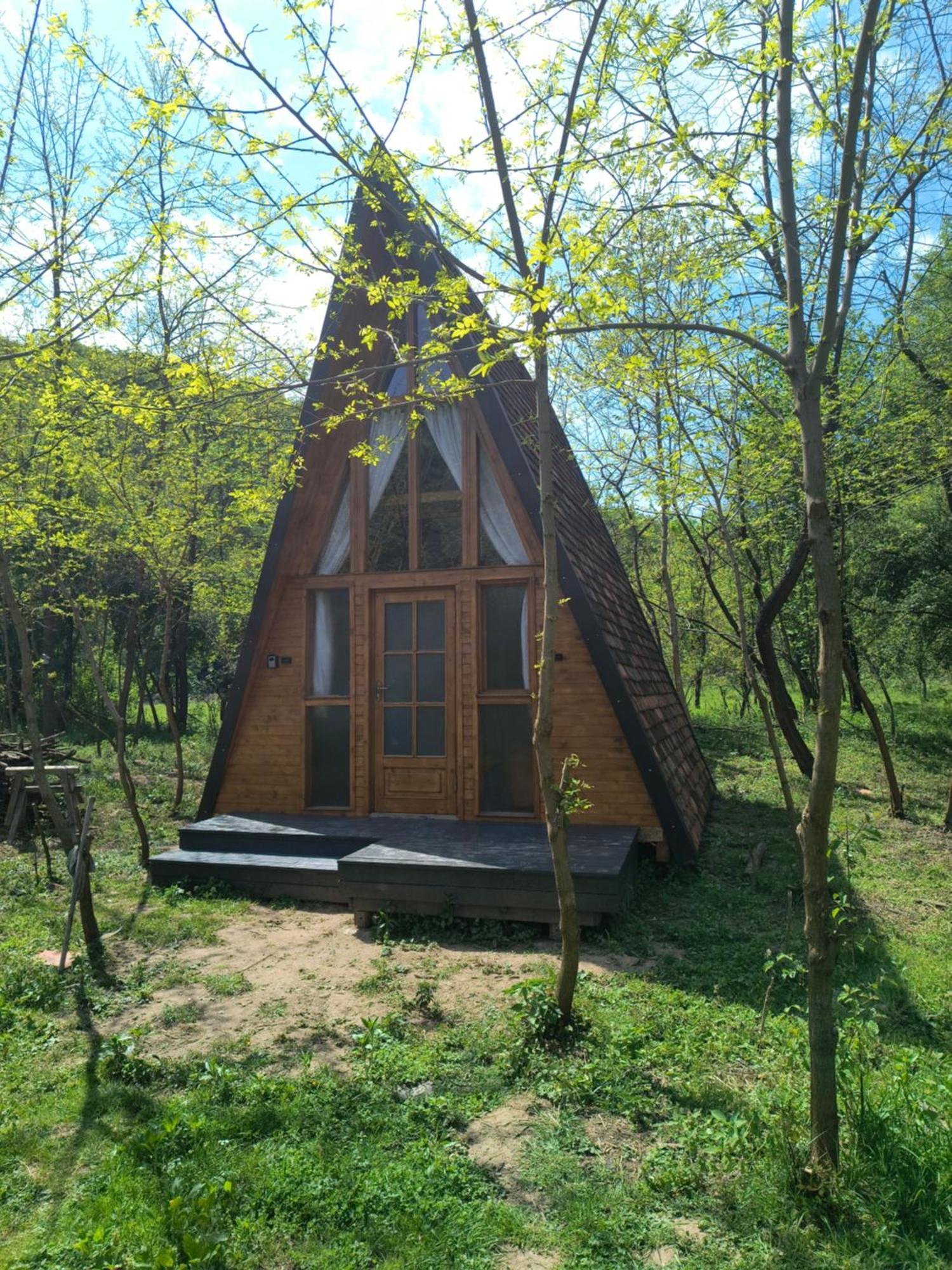 Отель Retreat In Padure Buchin Экстерьер фото