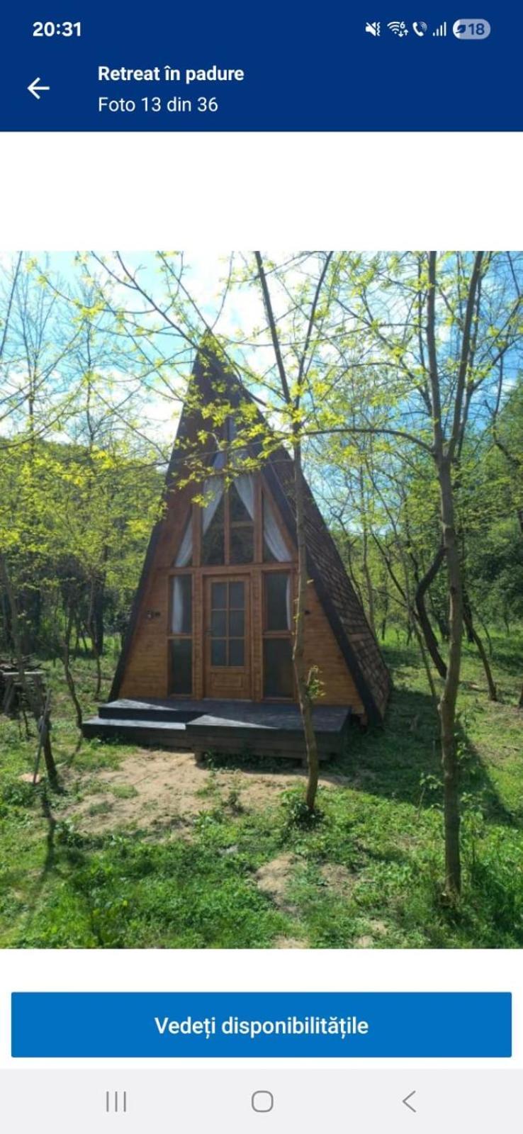 Отель Retreat In Padure Buchin Экстерьер фото